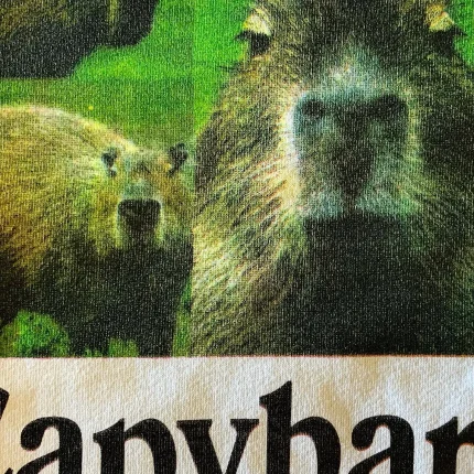 Atthemoment Capybara Sweatshirt (1)