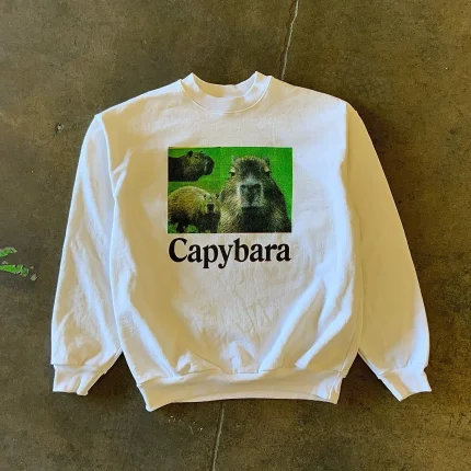 Atthemoment Capybara Sweatshirt (2)