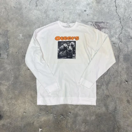 At the moment, Hanes Men’s White Sweatshirts (1)
