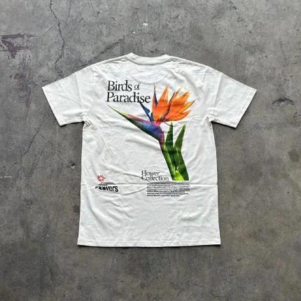 Atthemoment AS Colour Men's Cream T Shirt (1)